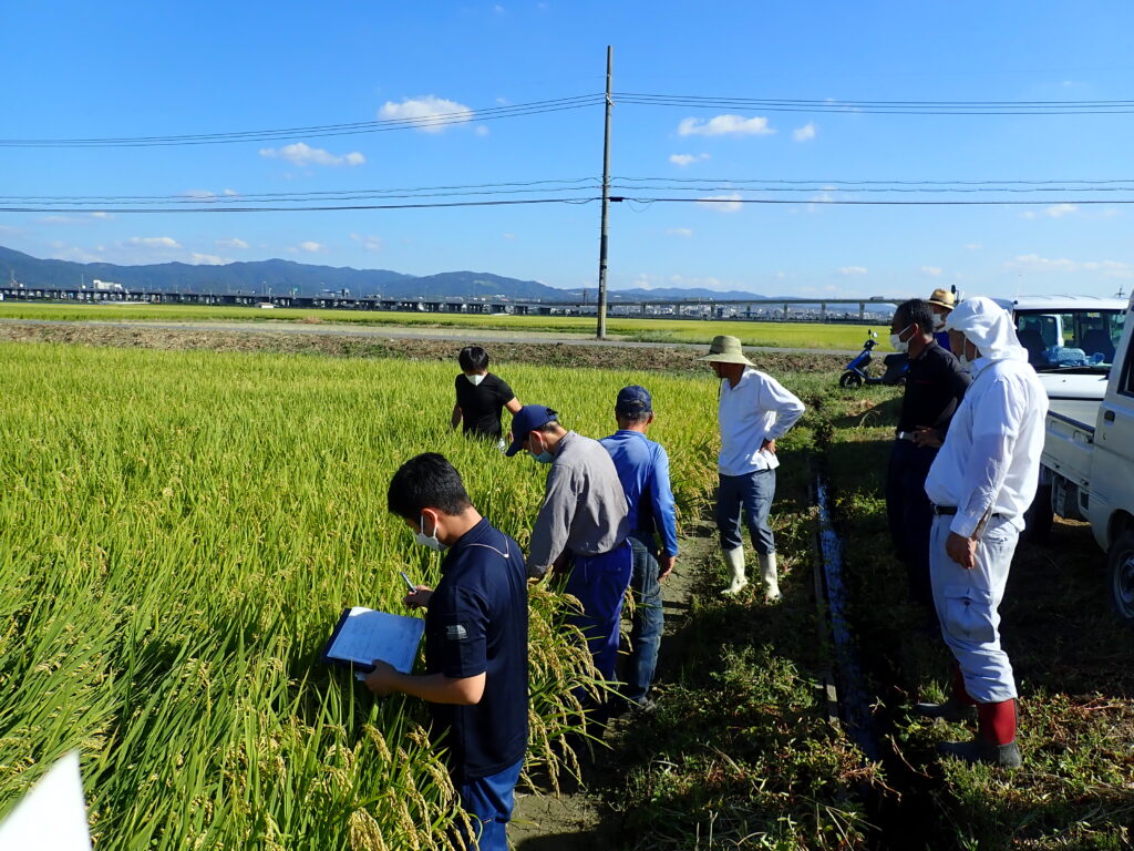 水稲適期刈取現地検討会と採種圃場の２次審査会
